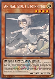 光芒起源的动物女孩