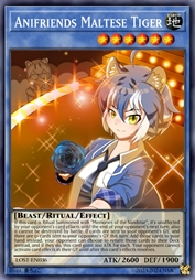 动物朋友 马耳他虎