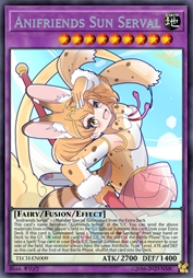 动物朋友 孙薮猫