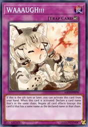 哇啊啊啊啊！！