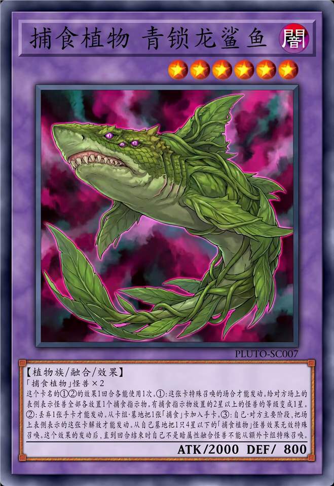 捕食植物 青锁龙鲨鱼