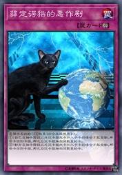 薛定谔猫的恶作剧