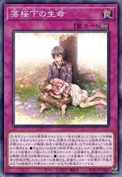 落樱下的生命