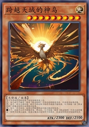 跨越天域的神鸟