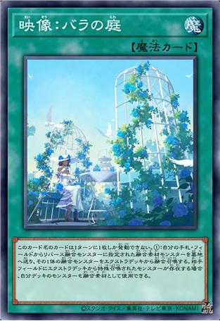 映像：玫瑰庭院