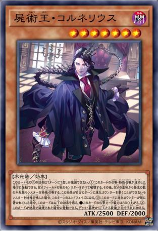 殒术王·科里内路司