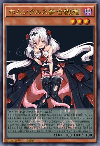 何蒙库鲁兹结合纤维
