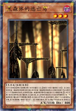 黑森林的逃亡鸟