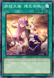 术结天缘 残光相依