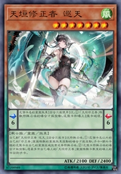 天垣修正者 巡天