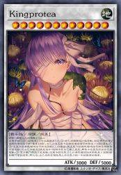 Kingprotea