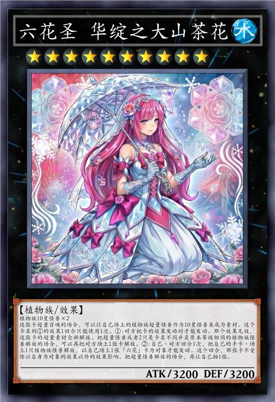 六花圣 华绽之大山茶花