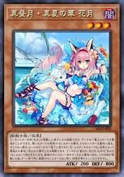 白昼月·盛夏之华 花月