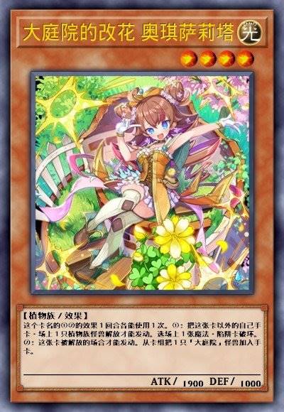 大庭院的改花 奥琪萨莉塔