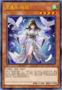 灵魂鸟-侍鸽