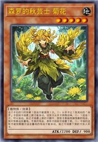 森罗的秋芸士 菊花