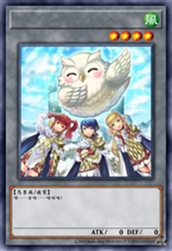 纯白义勇队 菲衍生物