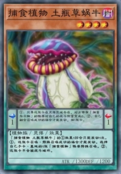 捕食植物 土瓶草蜗牛