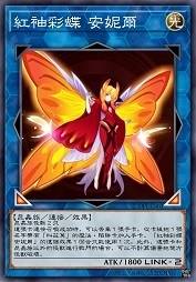 红袖彩蝶 安妮尔