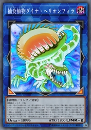 捕食植物 太阳瓶子草恐龙