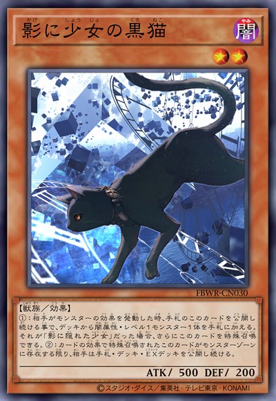 影中少女的黑猫