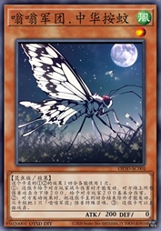 嗡嗡军团·中华按蚊