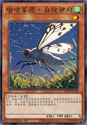 嗡嗡军团·白纹伊蚊