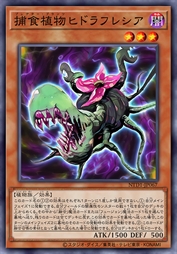 捕食植物 九头蛇大花草