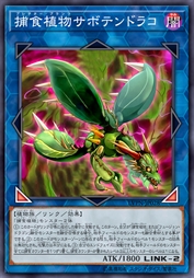 捕食植物·仙人掌小龙