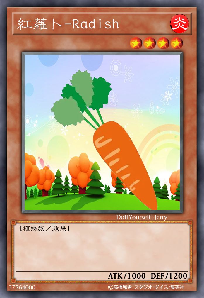 红萝卜-Radish