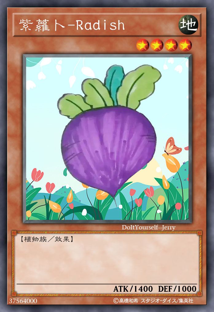 紫萝卜-Radish