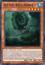 远古造物 塞彭拉德蜗轴菊石