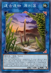 远古造物 原杉藻
