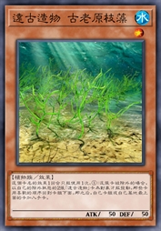 远古造物 古老原枝藻