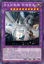 共生试验体 龙魂教巫