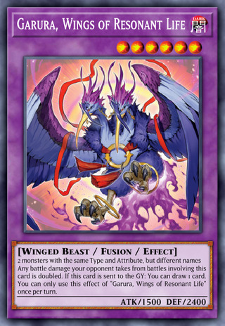 共命之翼 迦楼罗